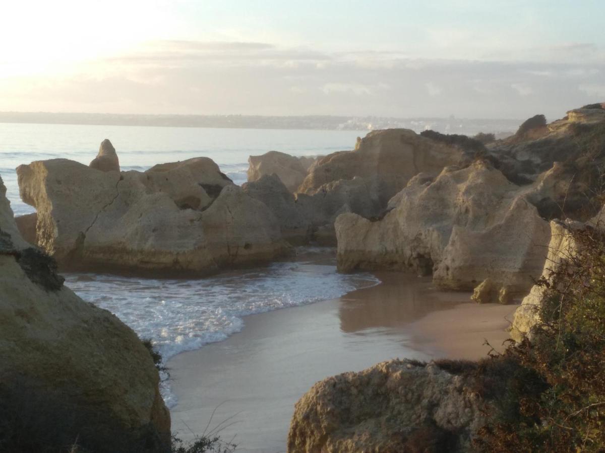 Little Wonder Apartment Albufeira Ngoại thất bức ảnh